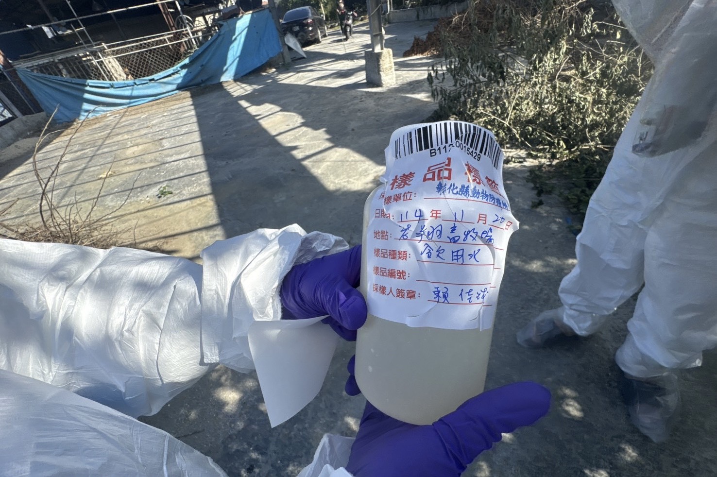 彰化啟動蛋雞場芬普尼監測 首波15場檢驗全數過關 - https://www.watchmedia01.com