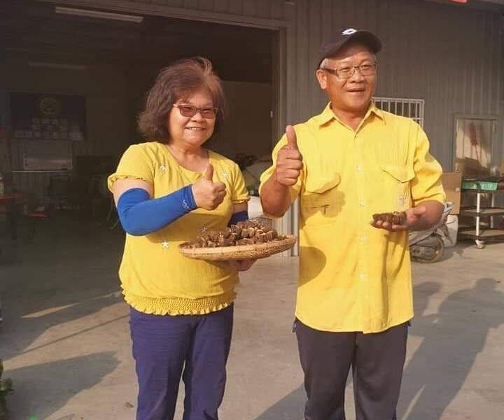 圖文:吳泰億以愛為起點 打造台灣印加果產業鏈 。